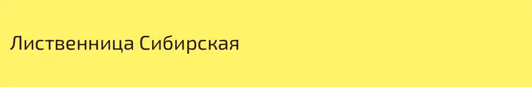 Лиственница Сибирская